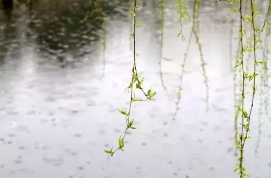 3月1日河南将有大范围降雨 需防范雨后大雾影响